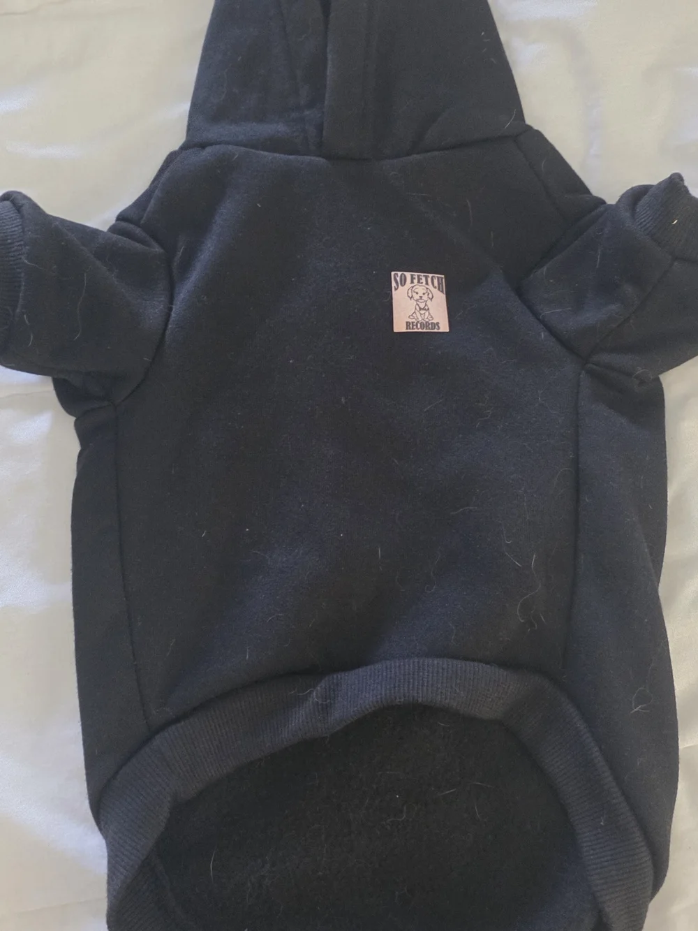 Pawtagonia Black Dog Hoodie with Mountain Logo